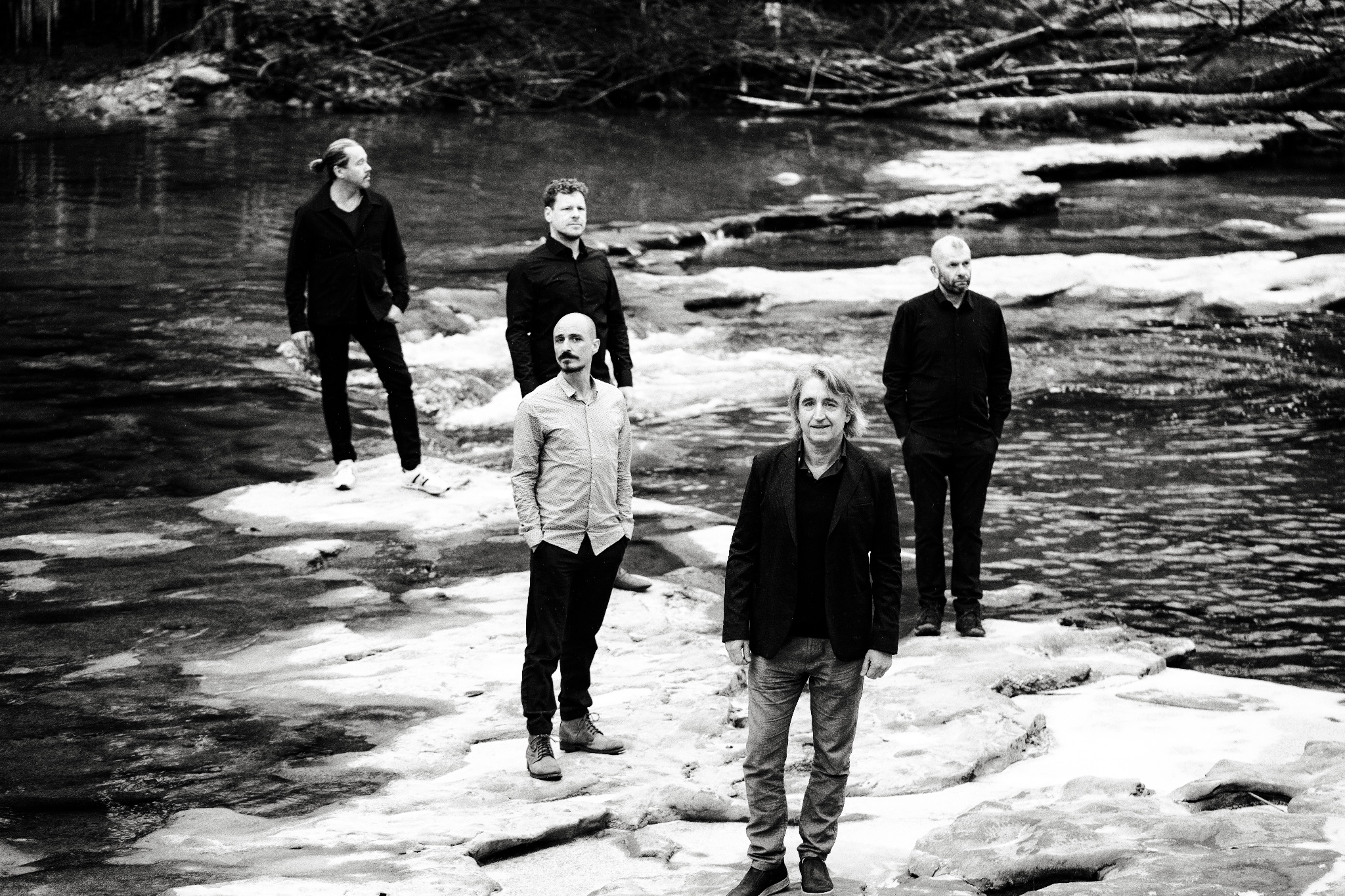 Christoph Stiefel "Full Tree"