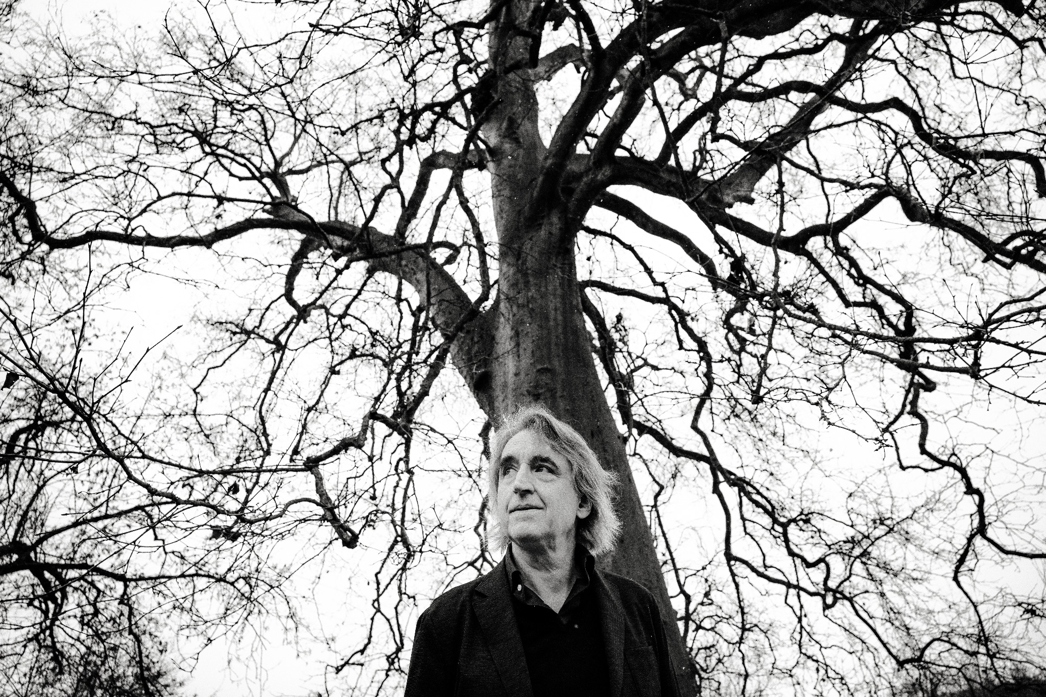 Christoph Stiefel "Full Tree"