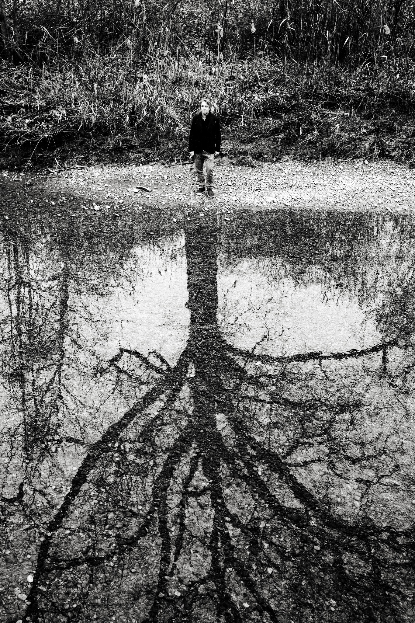 Christoph Stiefel "Full Tree"