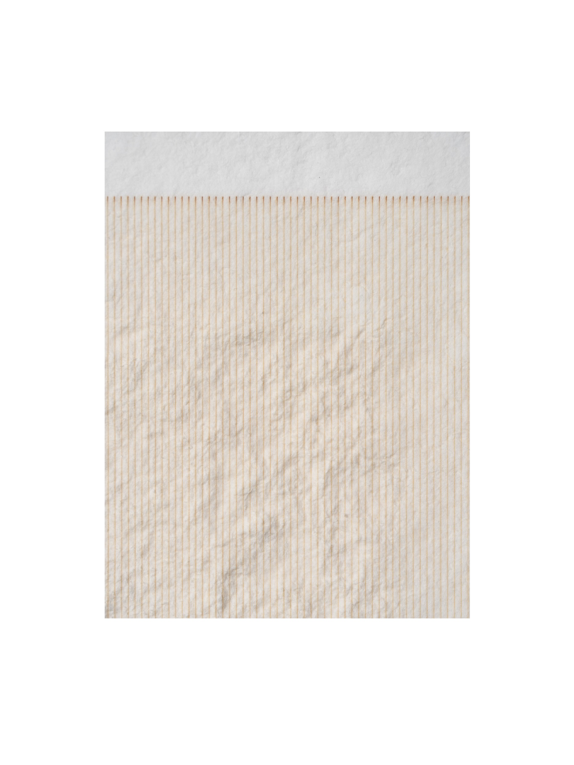 LintersII 02 ©Radlwimmer