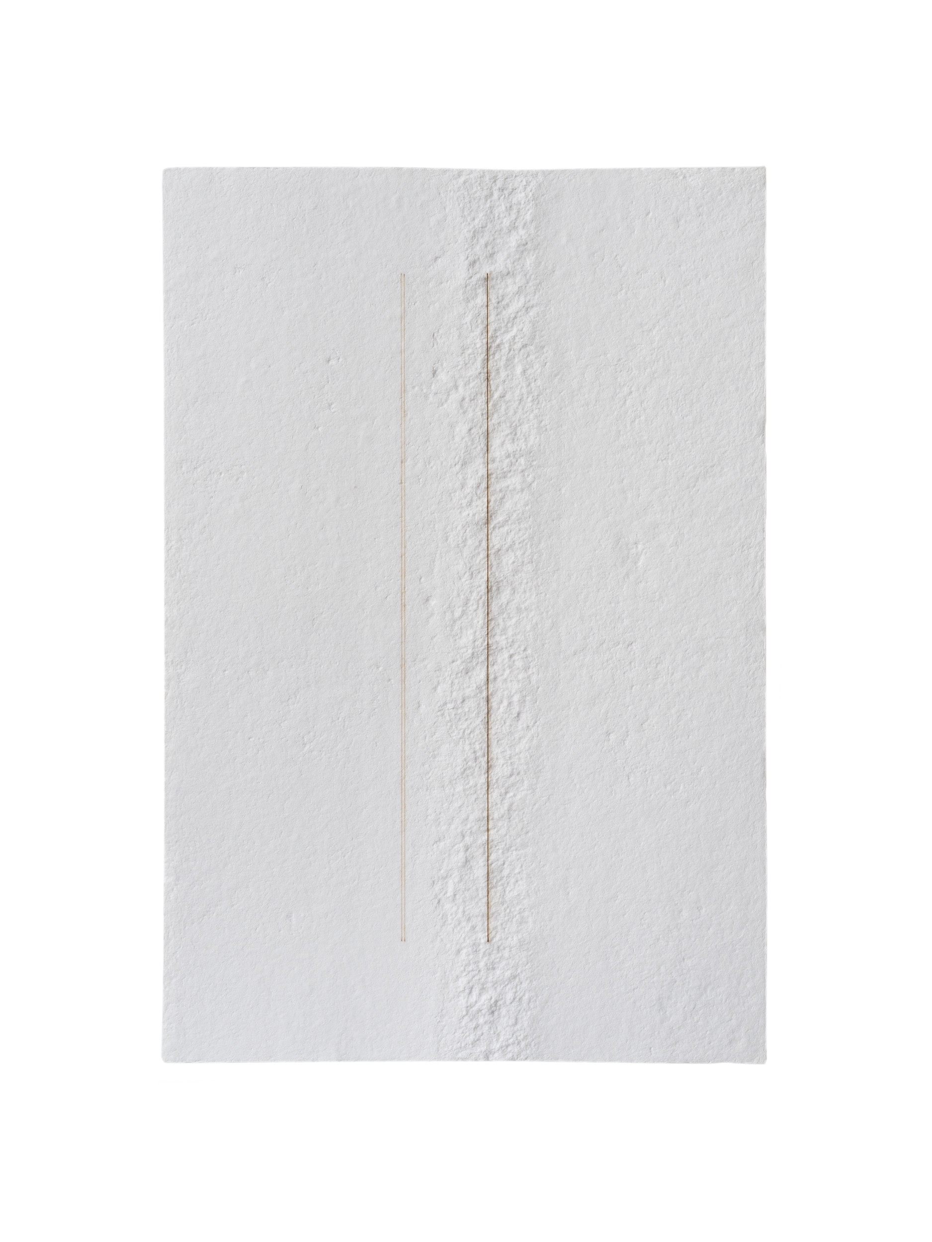 LintersII 06 ©Radlwimmer