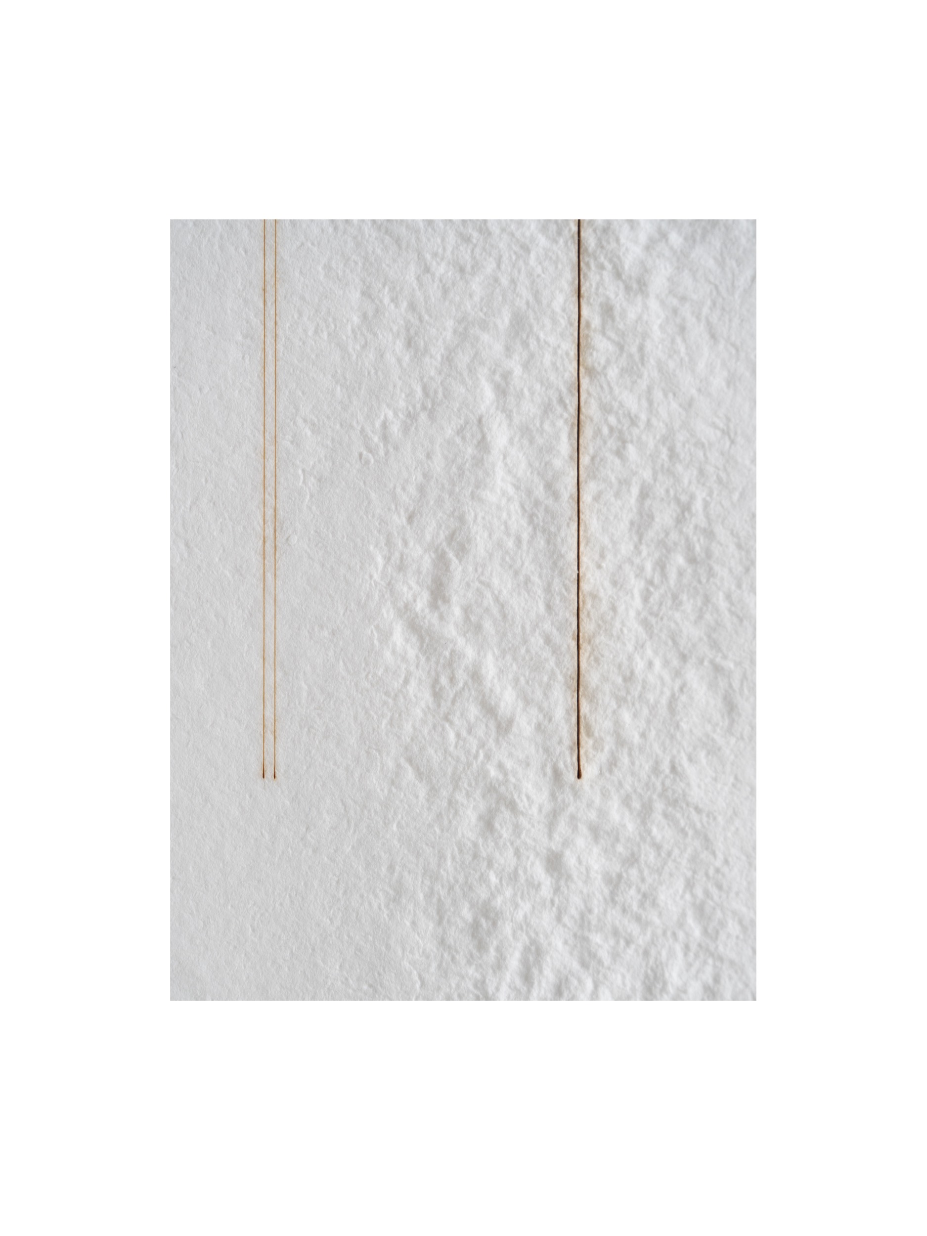 LintersII 07 ©Radlwimmer